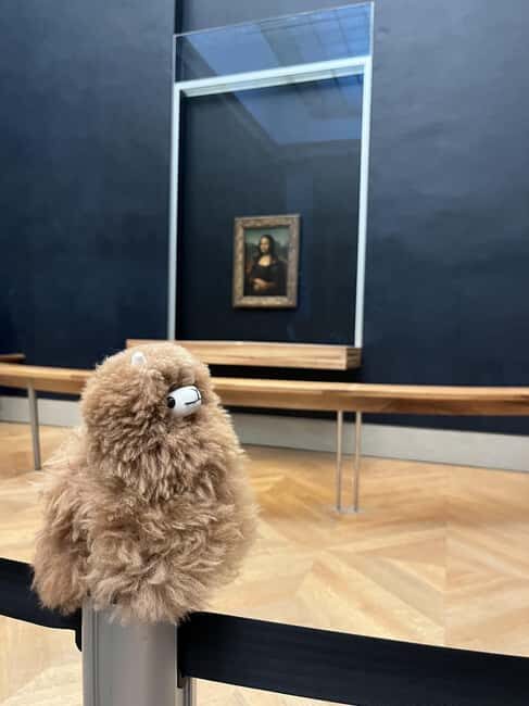 Louvre Museum Entry Ticket and Private Guided Tour - Meeting at Palais Royal and spotting Mr. Lama Leonardo