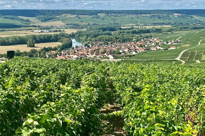 Moet et Chandon Pommery Pressoria Champagne Private trip - Pressoria Museum in Reims area: learn the method, then taste