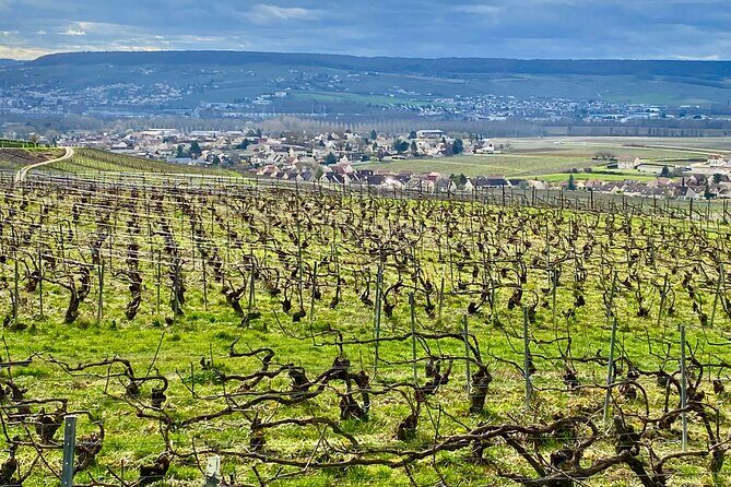 Moet et Chandon Pommery Pressoria Champagne Private trip - Price and logistics: is $643 per person good value?
