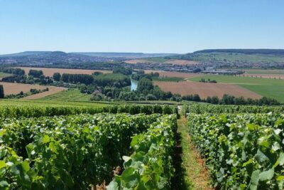 Moet et Chandon Tasting and Fun Private Tour in Champagne - The Avenue de Champagne Stop: Quick Sights, Great Photos