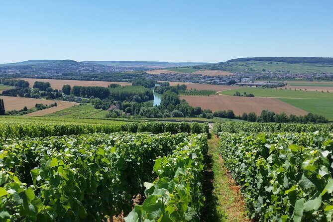 Moet et Chandon Tasting and Fun Private Tour in Champagne - The Avenue de Champagne drive: quick context without overdoing it