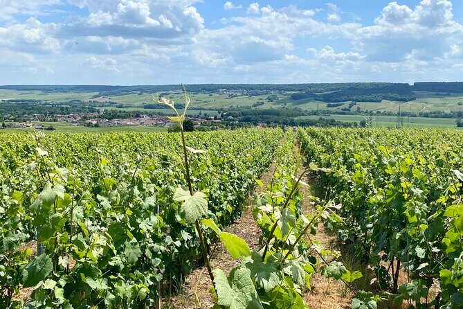 Moet et Chandon Veuve Clicquot Private Champagne trip from Paris - Épernay Lunch Time: Where You Can Eat at Your Pace