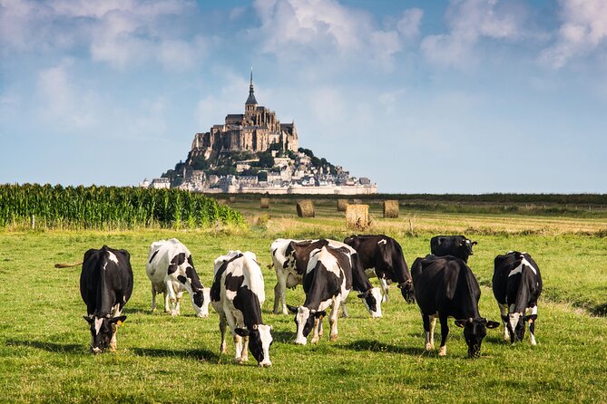 Mont Saint Michel Guided Day Trip with Hotel Pickup - Inside the Abbey du Mont-Saint-Michel: what the included ticket really buys