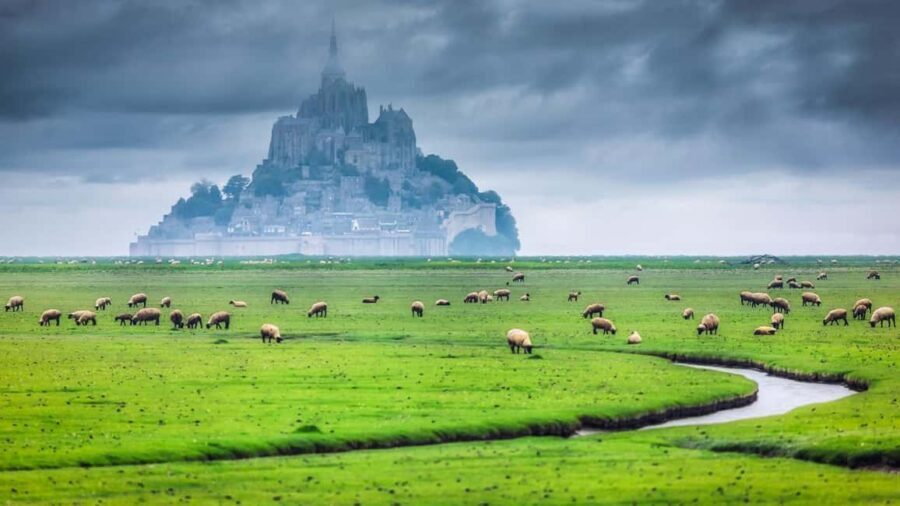 Mont Saint-Michel Small-Group Day Trip from Paris with Abbey Ticket - The Normandy Drive: What Your Guide Helps You Spot