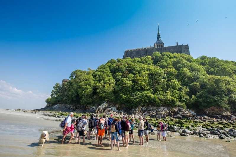 Mont Saint-Michel : Walk with an English-speaking guide - Barefoot Bay Walking: What This Experience Really Feels Like