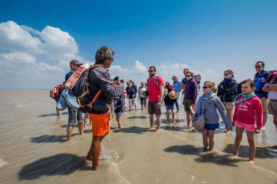 Mont Saint-Michel : Walk with an English-speaking guide - The Walk Itself: Shallow Water, Sandbars, Mud, and Quicksand