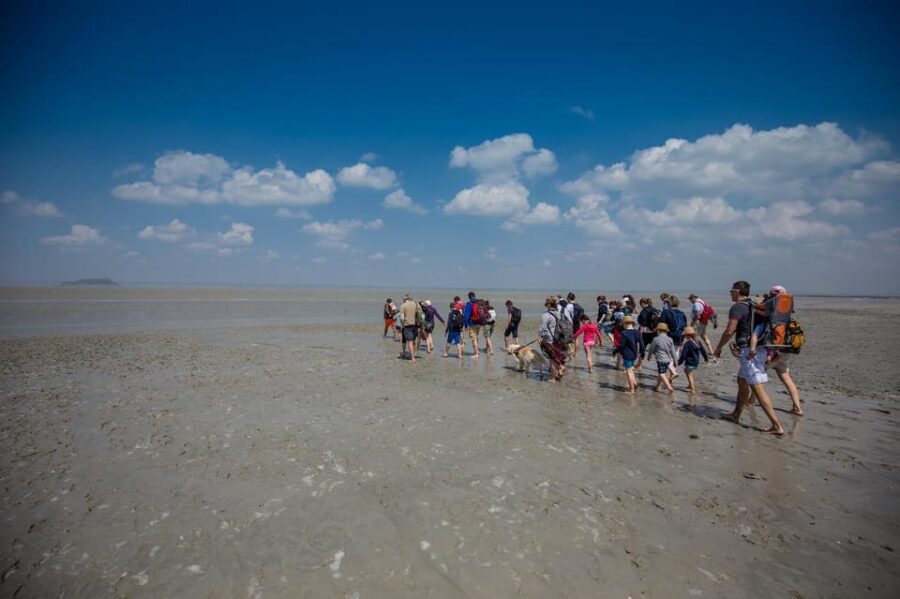 Mont Saint-Michel : Walk with an English-speaking guide - How This Fits With Your Mont Saint-Michel Day (Abbey vs Village)