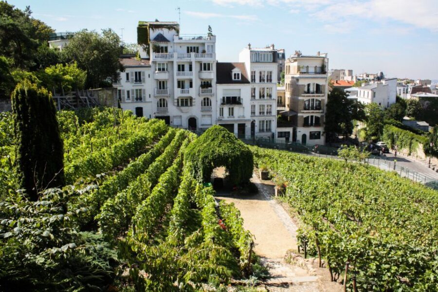 Montmartre: Private Treasure Hunt for Families and Kids - Windmills, vineyards, and cabarets: history you can act out