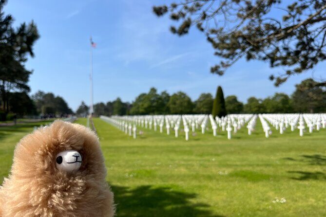 Normandy D-day landing beaches & Caen Memorial Private Tour - Starting at 07:30 with pickup, comfort, and a real plan