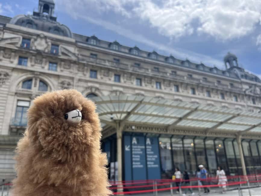 Orsay Museum: Museum Ticket Entry & 2h Private Guided Tour - Meeting point and timing: arrive early, because skip-the-line isn’t included