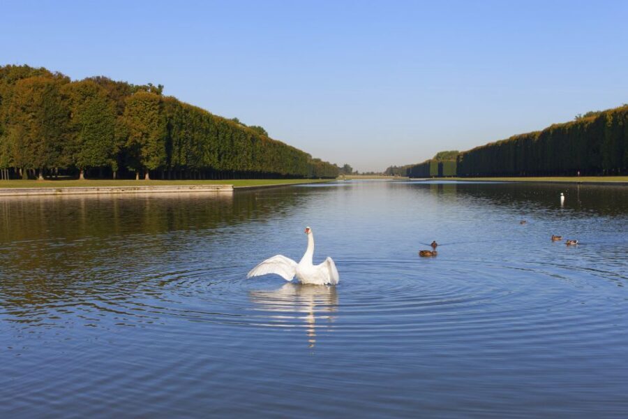 Palace of Versailles Guided Afternoon Tour from Paris - Timing, crowd pressure, and why you should bring your patience