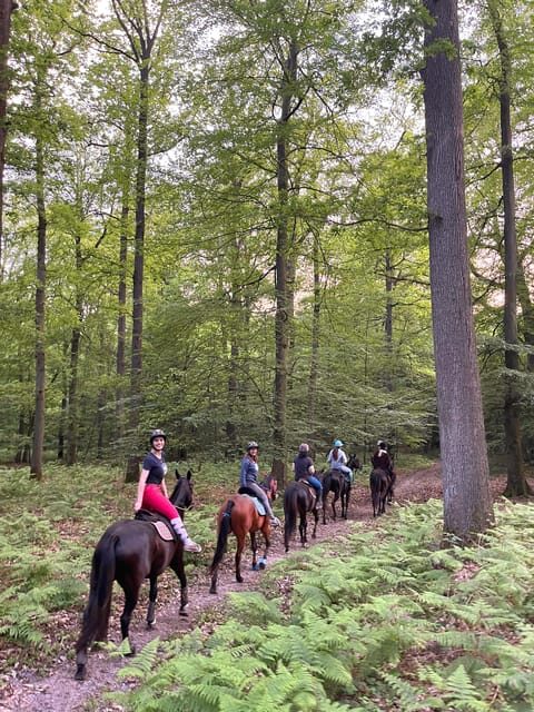 Paris: Aumont-en-Halatte Horseback Riding Tour - Who this tour is best for (and who should skip it)