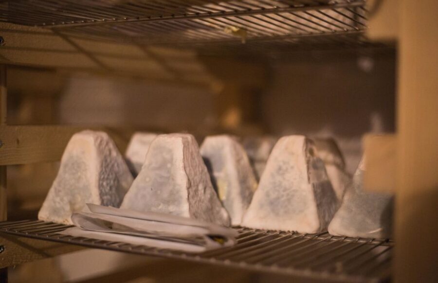 Paris: Cheese and Wine Class in a 17th Century Cellar - Inside the 17th-century cellar: why aging is the whole point