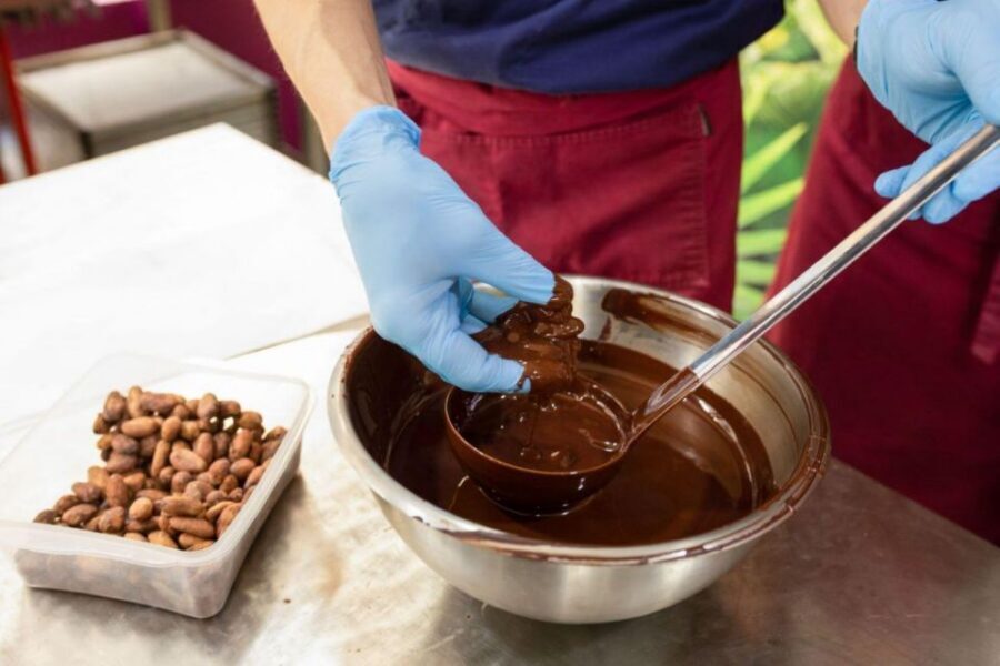 Paris: Chocolate Discovery Workshop and Tasting - Meet Yasmine and Sébastien: What They Teach (and How)