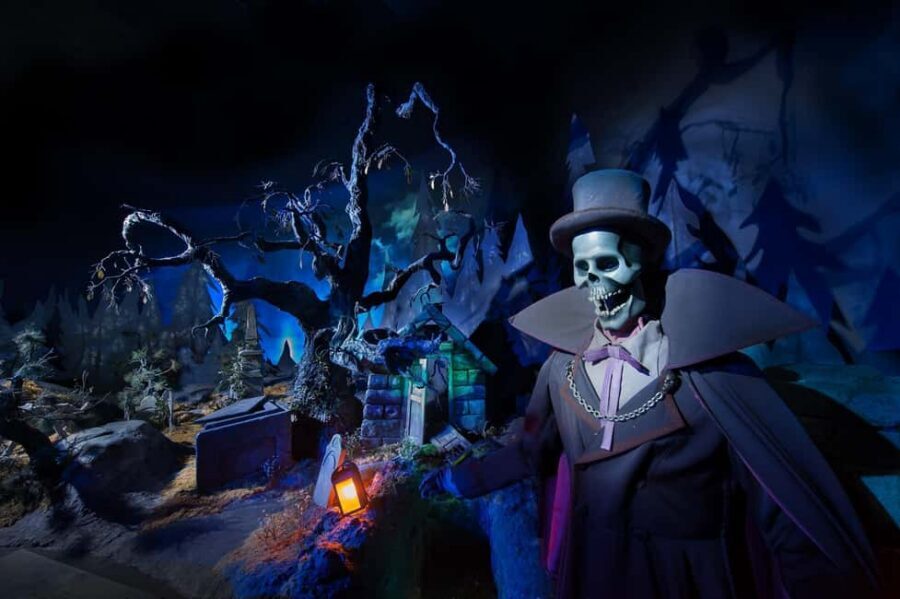 Paris: Disneyland Paris Ticket with Transfer - World of Frozen and the Stunt Show: How to Prioritize