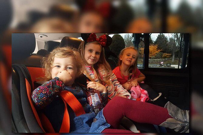 PARIS - Euro Disney - PARIS Two Way Private Shuttle Transfer - The Ride to Disneyland Paris: Comfort, Timing, and What to Expect