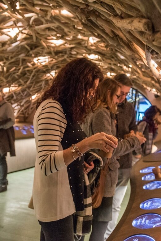 Paris: French Wine Experience in Parisian Cellar - Key Highlights You’ll Feel Right Away