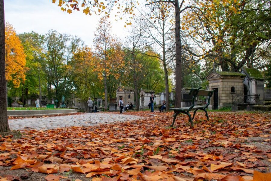 Paris: Full-Day Custom Tour with Local Guide - Tuileries Gardens: a pause that also connects sights