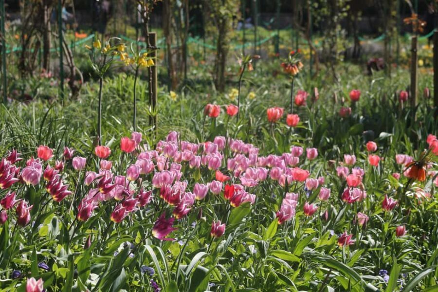 Paris: Giverny Gardens Day Trip with Professional Tour Guide - Tickets, time windows, and the stuff that can affect your day