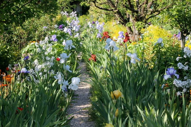 Paris: Giverny Gardens Day Trip with Professional Tour Guide - Inside Claude Monet’s House and Studio: what you’re really looking for