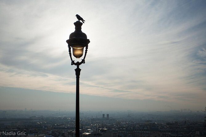 Paris Half Day Private Customized Walking Tour, Transport Options - Hotel Pick-Up and the Car Option: Comfort Without Losing the City