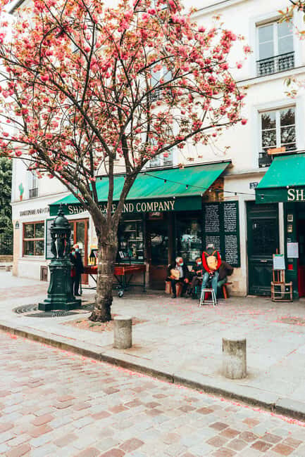 Paris: Latin Quarter Essential Highlights Walking Tour - Notre-Dame Exterior and Île de la Cité: The Big Picture Without the Ticket Lines
