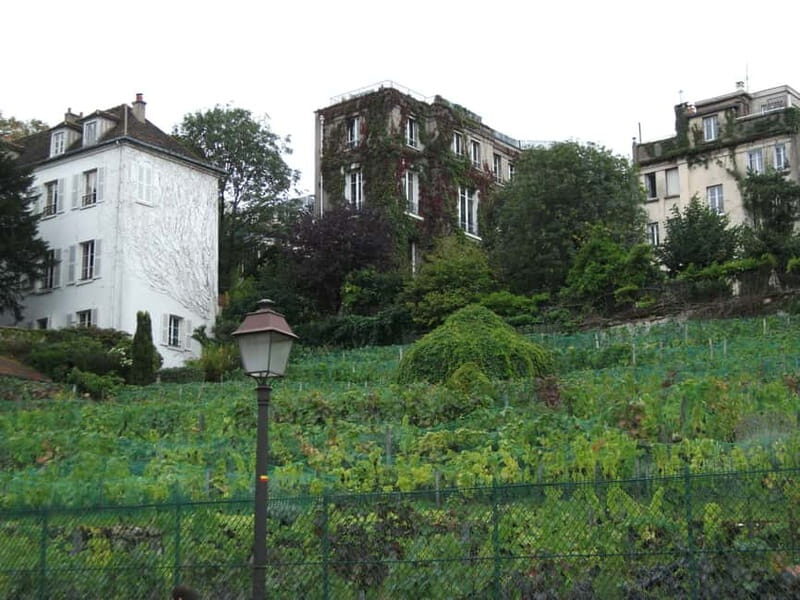 Paris: Montmartre Private Walking Tour - Moulin de la Galette to Rue Lepic: the Impressionist staircase route