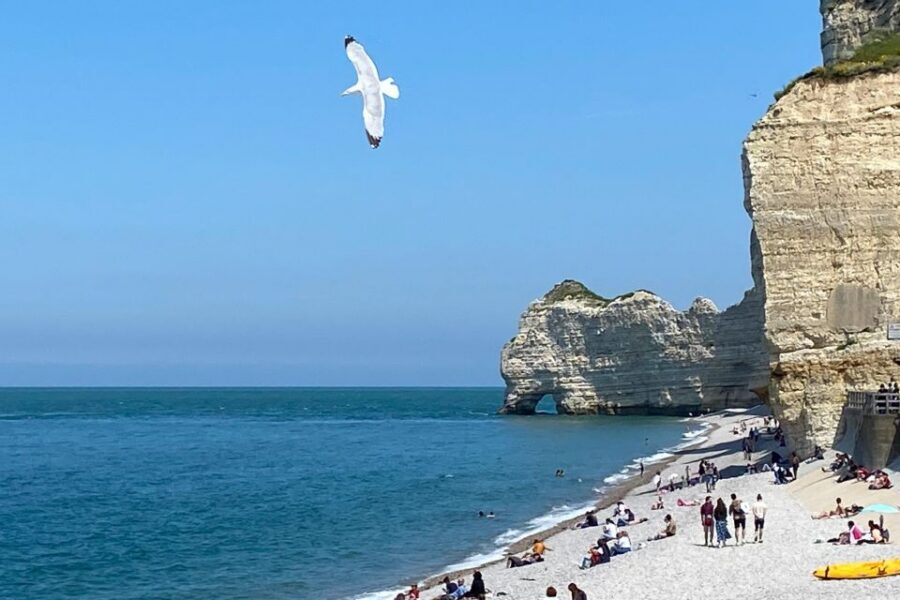 Paris: Normandy Rouen, Honfleur and Etretat Small-Group Tour - Étretat chalk cliffs: where walking beats sightseeing buses