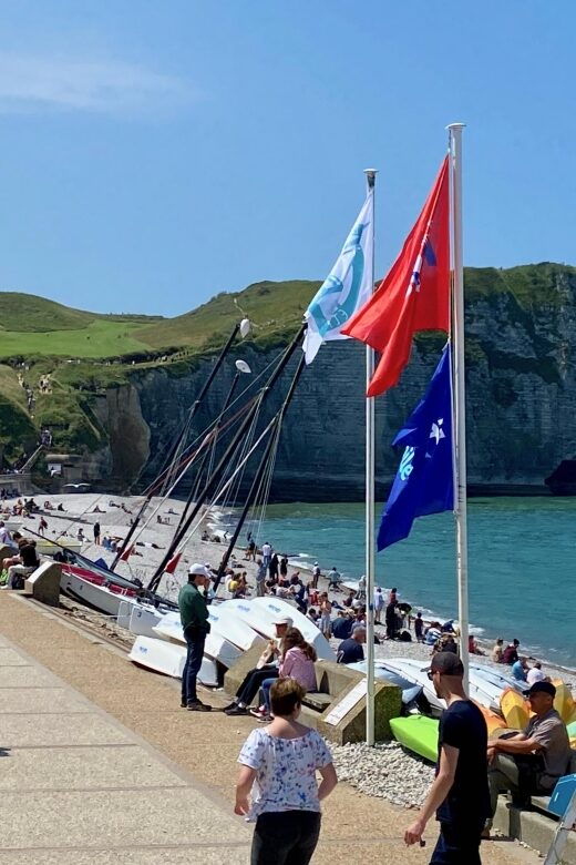 Paris: Normandy Rouen, Honfleur and Etretat Small-Group Tour - Price and logistics: what you really pay for at $454