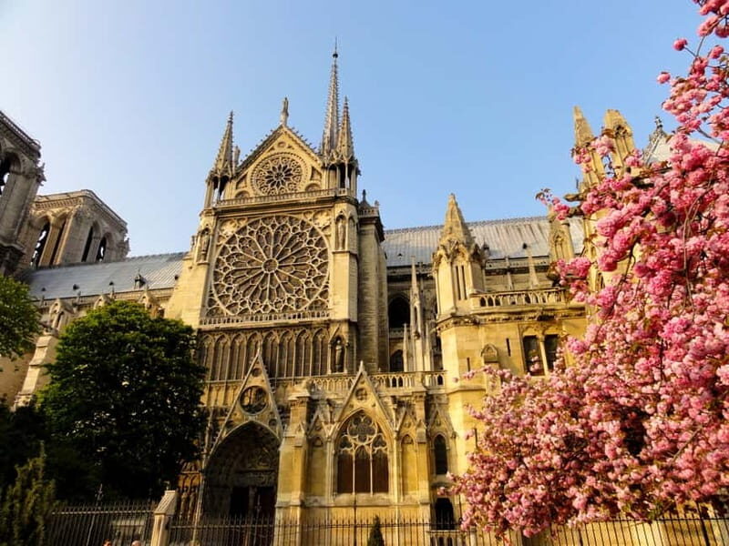 Paris: Notre Dame Exterior Private Tour - Key things you’ll notice on this tour