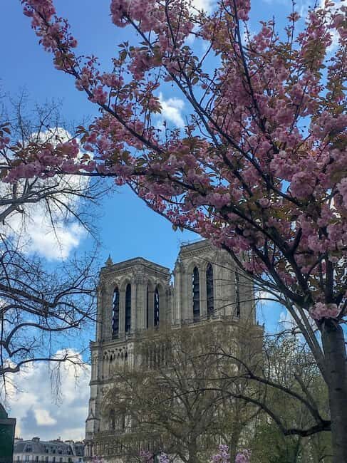 Paris: Notre Dame Exteriors and Ile de la Cité Walking Tour - Price and value: does $29 make sense for a 1-hour guided route?