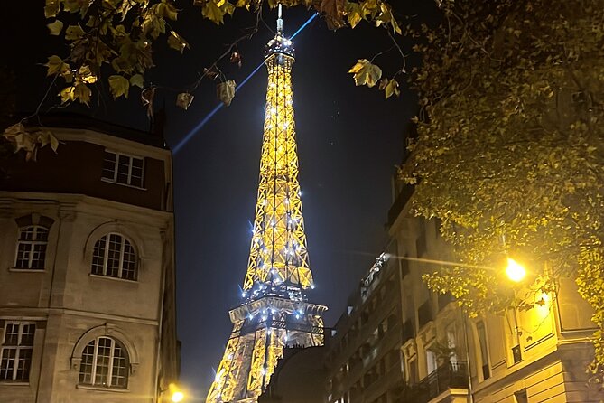 Paris Pink Tour by Night with Champagne - Comfort and sound in a private car: great for views, not always for audio