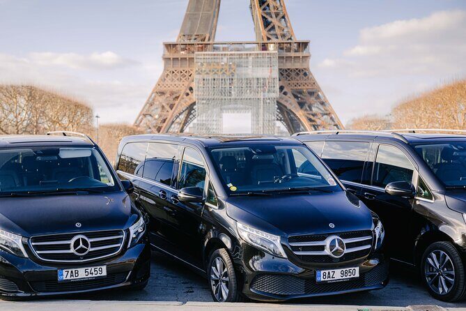 Paris Private City Tour Experience - Comfort, timing, and why this can beat walking days
