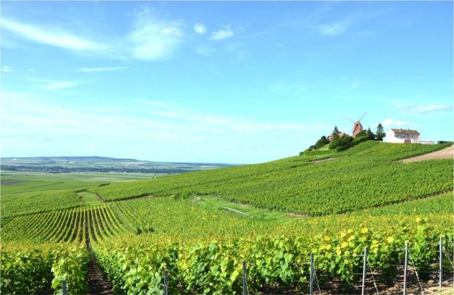 Paris: Private Day Trip to Champagne with 8 Tastings & Lunch - Lunch with Champagne pairing: the point where it all clicks