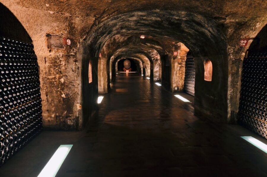 Paris: Private Day Trip to Champagne with 8 Tastings & Lunch - Scenic drives through UNESCO vineyards and the Epernay views