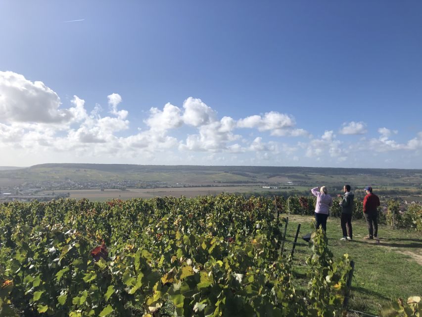 Paris: Private Day Trip to Champagne with 8 Tastings & Lunch - “8 tastings” in real life: how to make the most of your palate