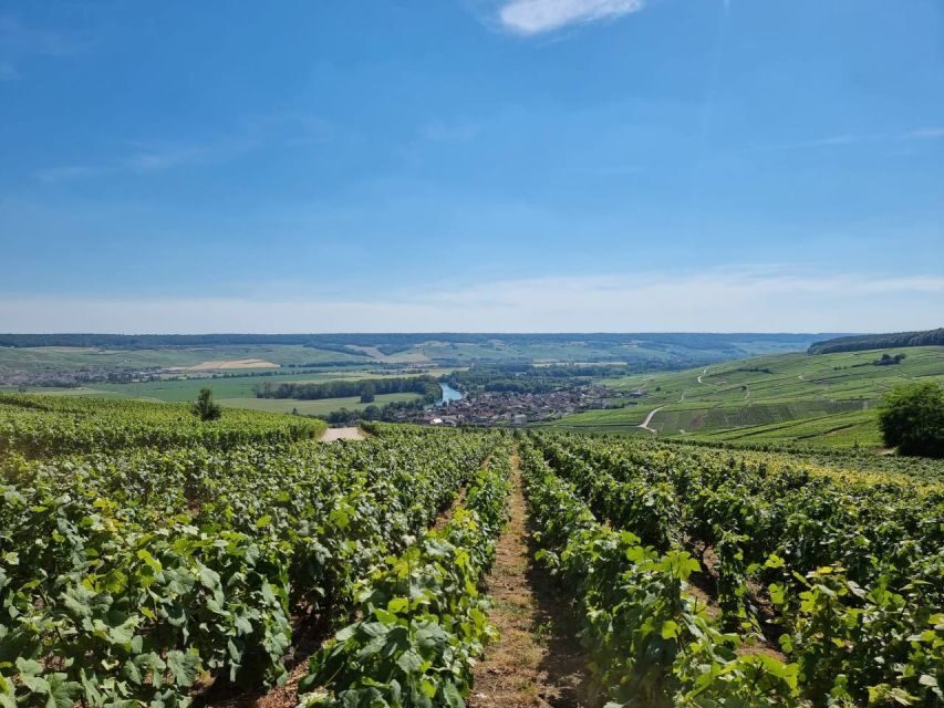 Paris: Private Epernay Trip with Champagne Vineyard Tastings - Key Things I’d Prioritize on This Private Champagne Day