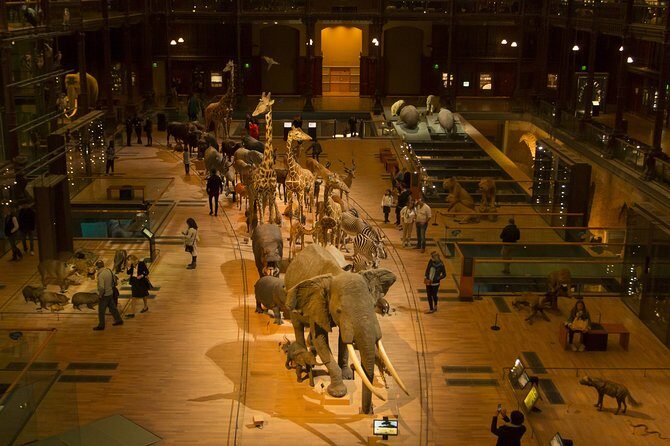 Paris Private Family Tour - Highlights & the Best Museum for Kids - Where the Tour Starts (and Why That Matters)