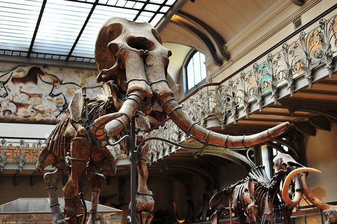 Paris Private Family Tour - Highlights & the Best Museum for Kids - Notre-Dame Area: A Quick Gothic Peek on Île de la Cité