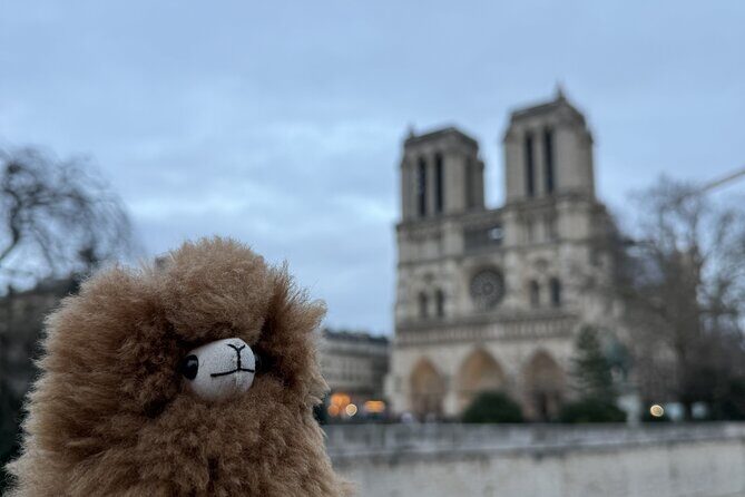 Paris Private Guided Walking Tour with Notre-Dame Visit - Pont Neuf start: simple logistics and a clear meeting spot