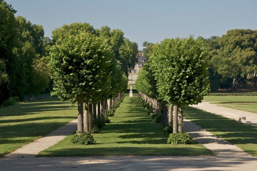Paris: Private Tour of Domaine de Chantilly Ticket&Transfer - Key reasons this Chantilly private tour feels worth your time