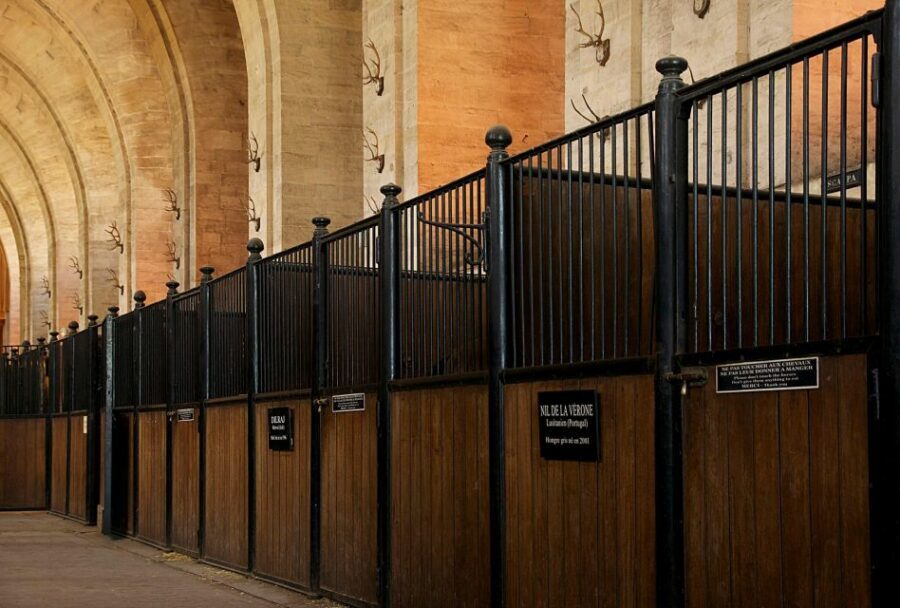 Paris: Private Tour of Domaine de Chantilly Ticket&Transfer - Grandes Écuries: the living horse museum and the 18th-century showpiece