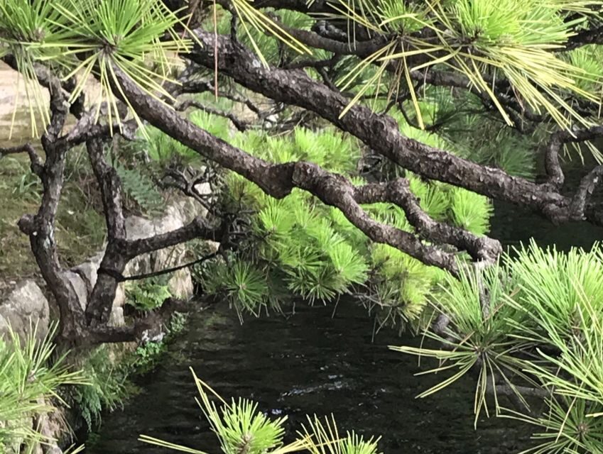 Paris Secret Gardens 1.30 hour long Walking Tour - French garden ideas you’ll learn to spot on the ground
