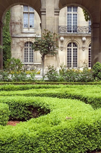 Paris Secret Gardens 1.30 hour long Walking Tour - What you’ll likely see: roses, vegetable patches, chessboards, and local life