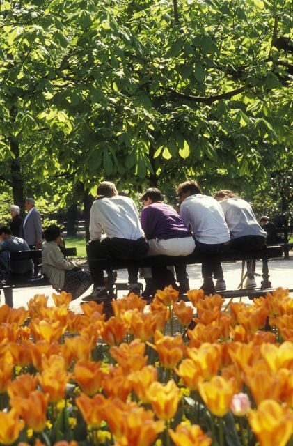 Paris Secret Gardens 1.30 hour long Walking Tour - Going off the usual tourist path (and why that’s worth the effort)