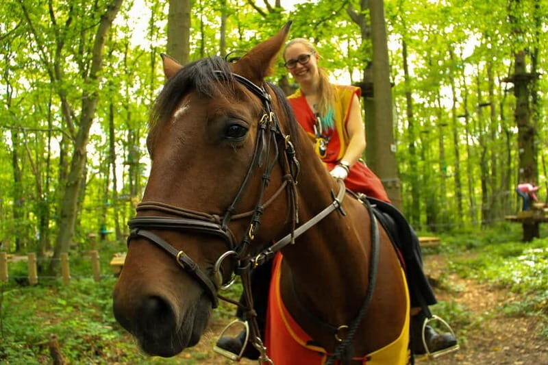 Paris : Sherwood Parc - Biggest Adventure Park Entry Ticket - Choosing the right ropes course without getting overwhelmed