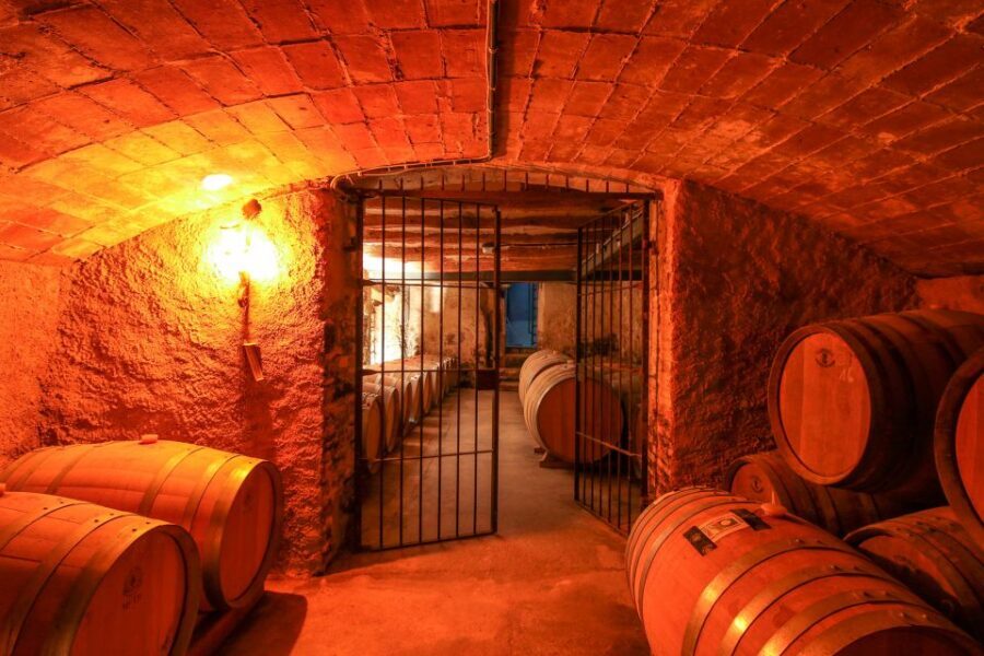 Paris: Two Reims Champagne Vineyards with Tastings and Lunch - Key points worth clocking before you go