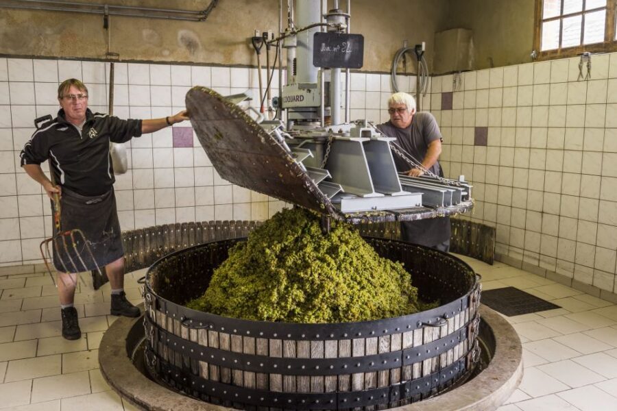 Paris: Two Reims Champagne Vineyards with Tastings and Lunch - Champagne country, but with a real schedule