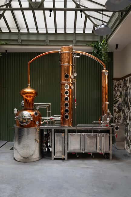 Paris Visit and gin tasting in English - Distillation Basics, Plus the Gin Secrets You Actually Care About