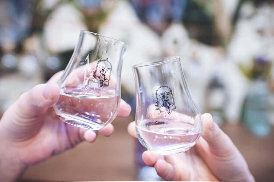 Paris Visit and gin tasting in English - The 1-Hour Tour Flow: What You’ll Do From Start to Finish